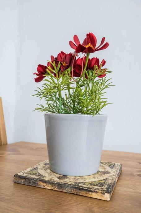 Modern Flat In Moseley With Free Parking Apartment Birmingham Luaran gambar